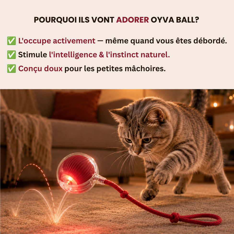 Oyva Ball™ — La balle qui occupe votre chat en votre absence.
