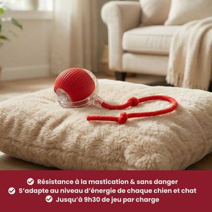 Oyva Ball™ — La balle qui occupe votre chat en votre absence.