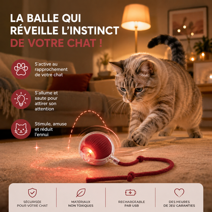 Oyva Ball™ — La balle qui occupe votre chat en votre absence.