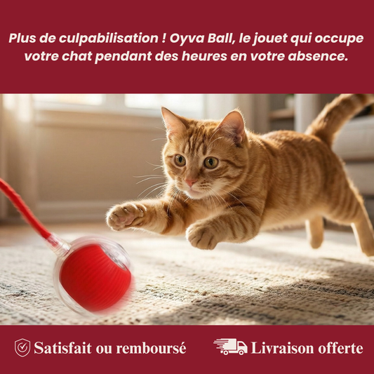 Oyva Ball™ — La balle qui occupe votre chat en votre absence.